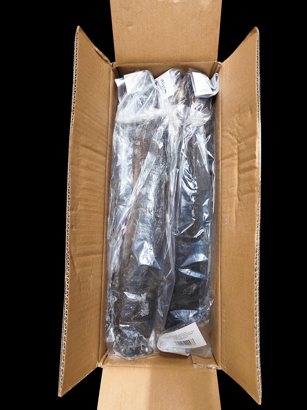 Poisson Chat (Mbisi ya moustache)