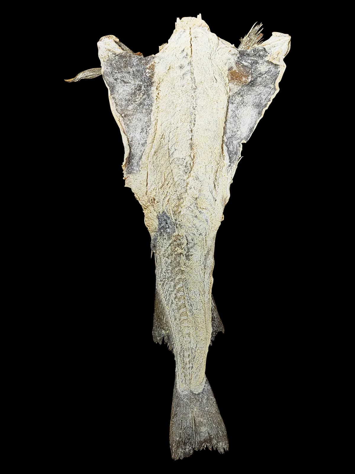 Ambassade PREMIUM 5kg